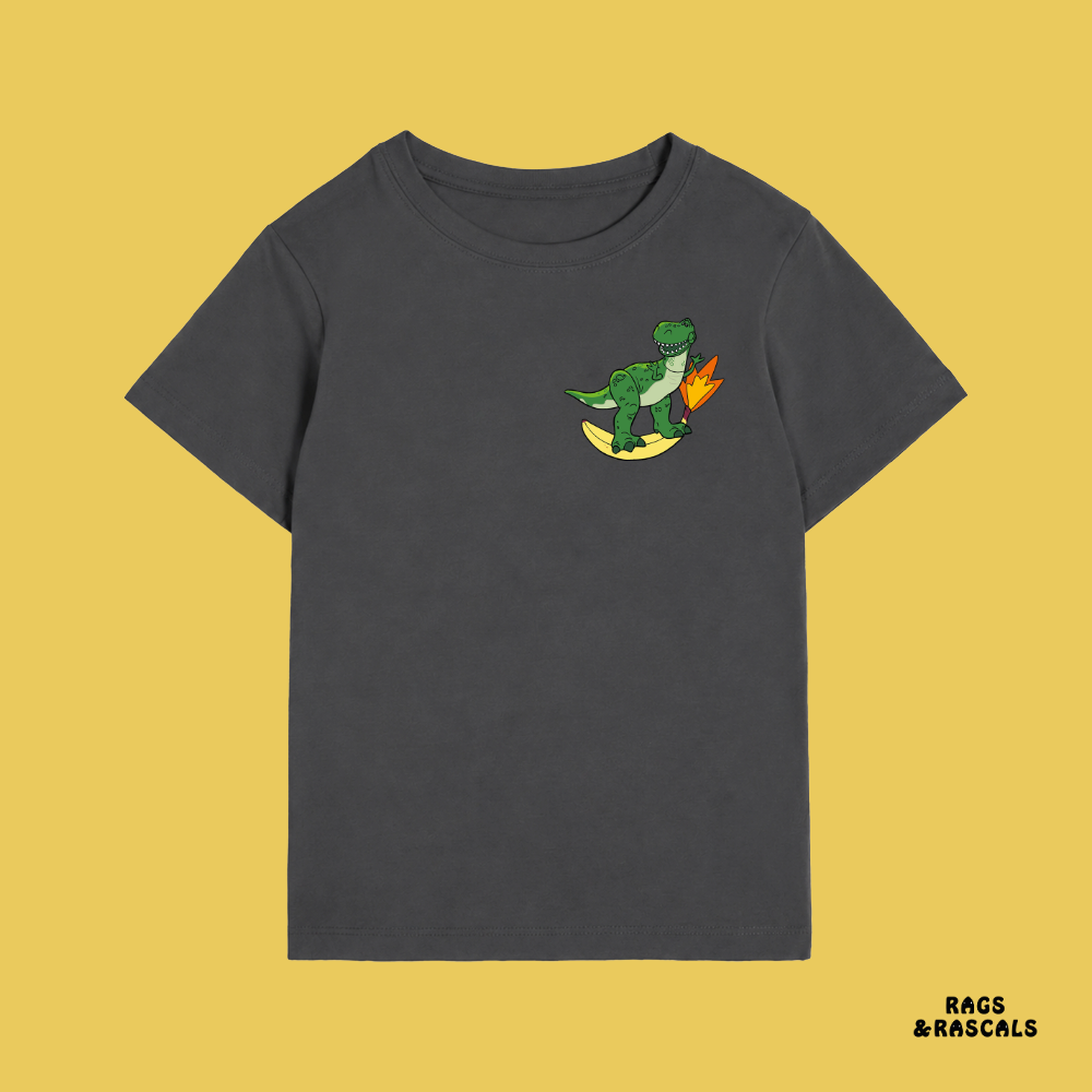 Dark gray t-shirt with a green dinosaur graphic,  from a children's brand called  "Rags and Rascals".